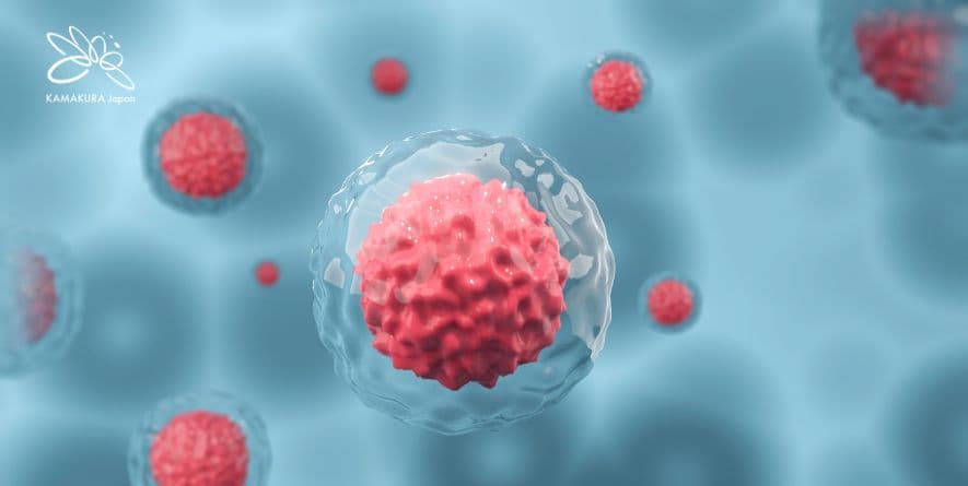 Làm Tế Bào Gốc tại Nhật Bản: Điều cần biết để tránh rủi ro và đạt hiệu quả thật sự