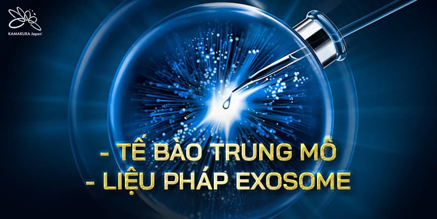 Tế bào gốc trung mô Nhật Bản: Bước tiến đột phá trong điều trị và phục hồi đa bệnh lý