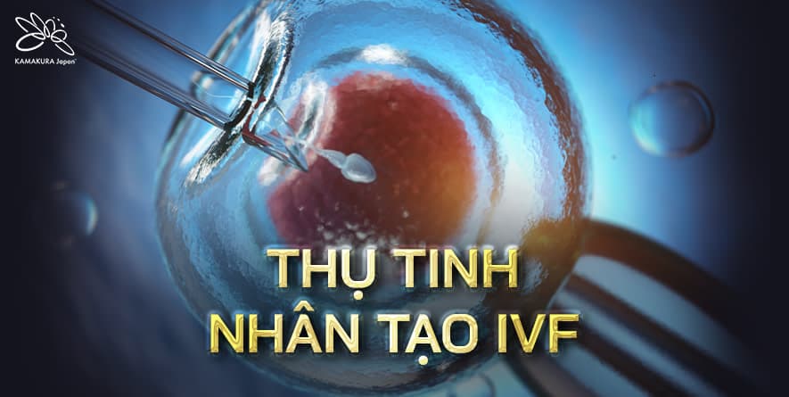 Thụ tinh nhân tạo IVF: Tỷ lệ thành công 70 - 80% với phác đồ cá nhân hóa tại Nhật Bản và Thái Lan
