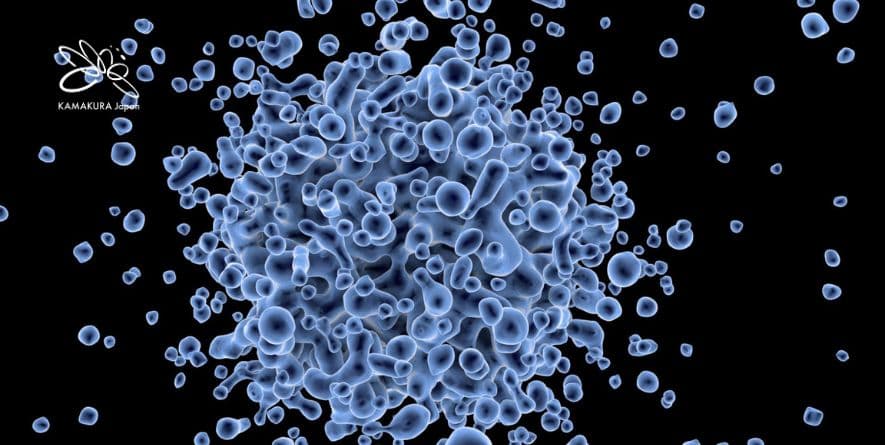 Liệu pháp tế bào vi sinh - Hướng đi đột phá giúp tấn công khối u hiệu quả hơn