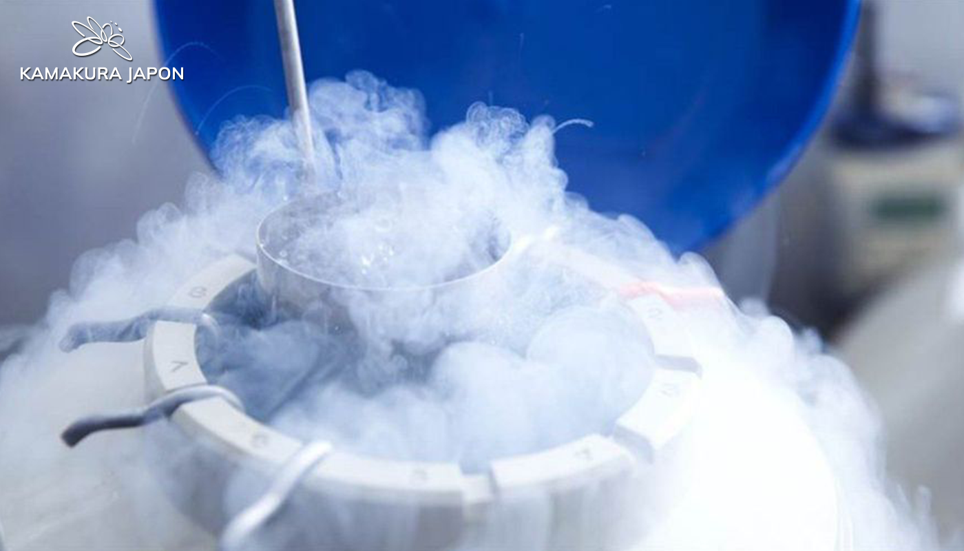 Trữ trứng ở đâu tốt: Top các trung tâm hỗ trợ sinh sản tốt nhất 2026