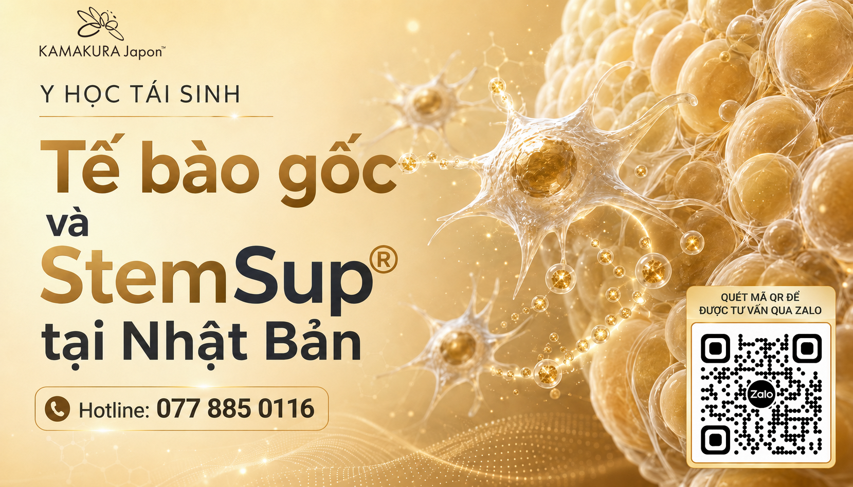 Y học tái sinh tại Nhật Bản: Tìm hiểu liệu pháp MSC và StemSup®