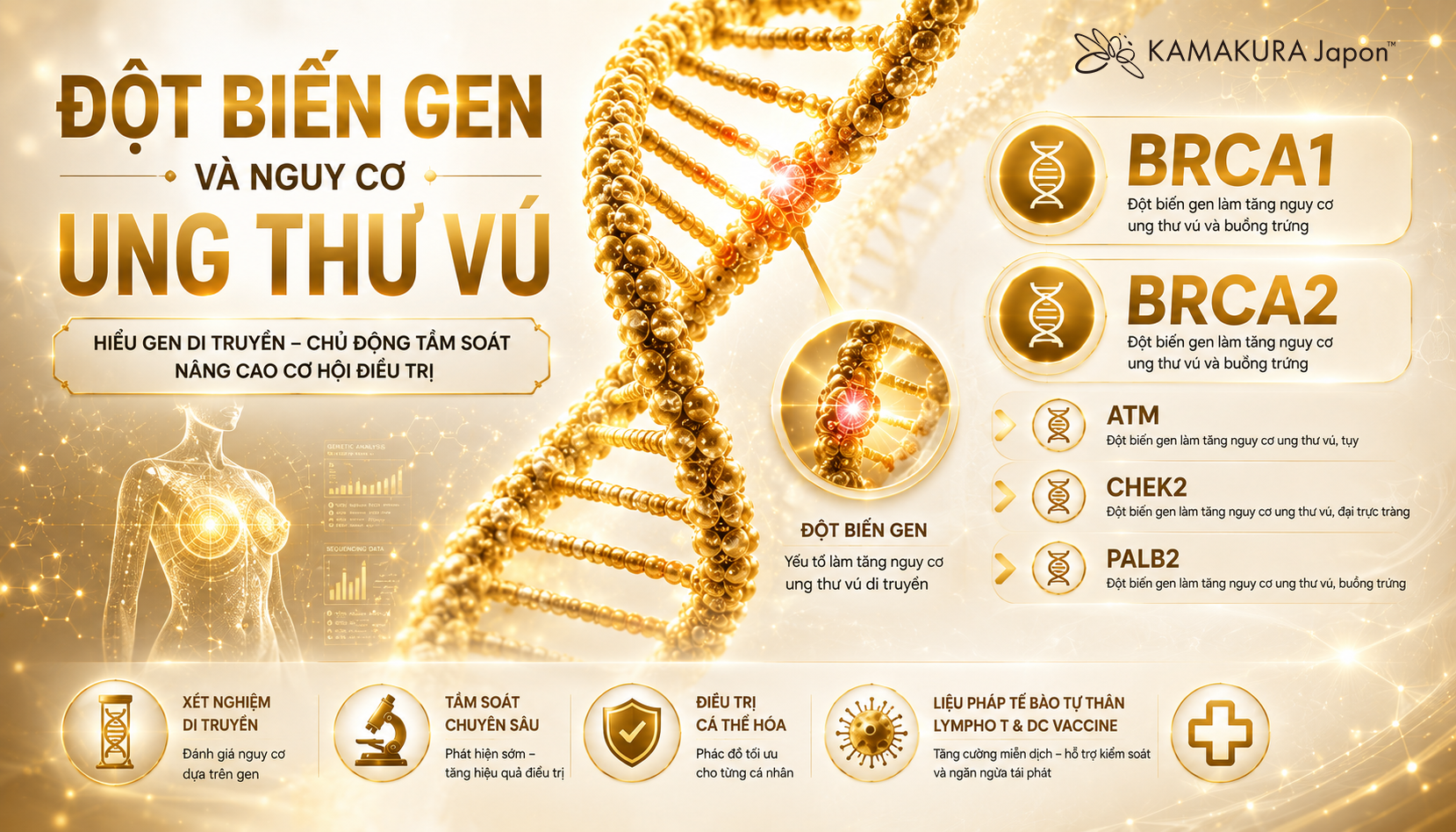 Ung Thư Vú Di Truyền – Phát Hiện Sớm, Điều Trị Cá Thể Hóa Và Cơ Hội Sống Khỏe Từ Liệu Pháp Miễn Dịch Tế Bào Tự Thân