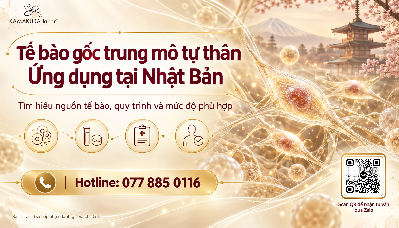 Liệu pháp tế bào gốc trung mô tự thân tại Nhật Bản được ứng dụng như thế nào?